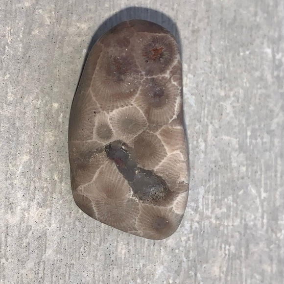 Petoskey stone - Picture 11 of 11